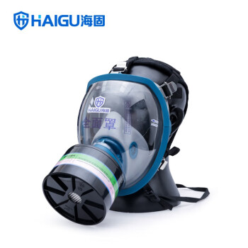 海固（HAIGU）HG-800防毒面罩全面罩防护化工气体喷漆农防护氨气烟毒含滤毒罐