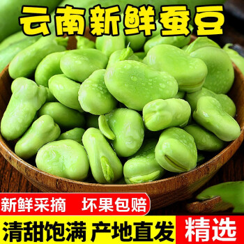 云南新鲜蚕豆5斤农家带壳生蚕豆罗汉豆兰花胡豆佛青豆荚蔬菜10斤