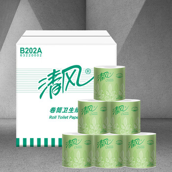 清风 卷筒卫生纸 2层250段/卷*10卷/提*10提 整箱 公用厕纸手纸B202A