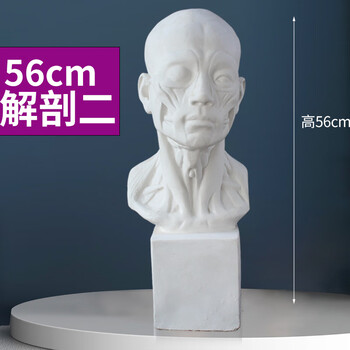 石膏像大卫石膏像美术教具石膏头像画室常用石膏雕塑石膏头像模型纤