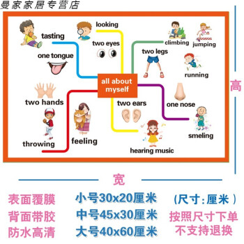 英语思维导图海报英语教具教室装饰贴纸英文墙贴单词贴图布置w43513