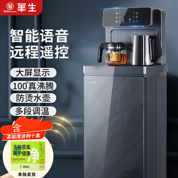 华生（Wahson）茶吧机家用多功能 智能语音遥控 温热型大屏 双显立式饮水机 一键调温 WS-718灰色+赠茶垢剂十盒