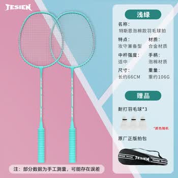 特斯恩（TESIEN） 泡棉款羽毛球拍 合金材质强韧中杆攻守兼备 浅绿TSN-PM01