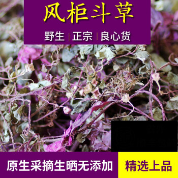 有仁福建正宗野生风柜斗草风骨草风鼓草风谷草250克中药材楮头红