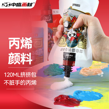 中盛画材 12色丙烯颜料油彩不掉色防水防晒儿童染料画画彩绘工具套装纺织涂鸦diy手绘小盒装画衣服鞋石头美术写生