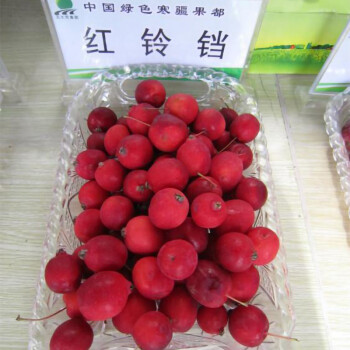 东北红铃铛果灯笼果酸甜黑龙江孕妇新鲜农产品鸡心海棠果60mm以下4斤