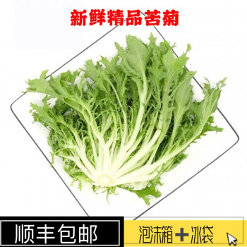 顺丰新鲜苦菊苦细叶生菜苦苣蜘蛛生菜狗牙九芽沙拉蔬菜500g