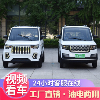 明骐新款铁壳小型电动汽车成人四轮电动车新能源油电两用成人代步车
