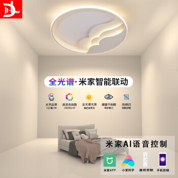 D&L卧室灯全光谱LED吸顶灯新款INS个性智能圆款