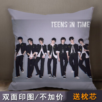 时代少年团抱枕 tnt时代少年团抱枕马嘉祺丁程鑫宋亚轩刘耀文演唱会