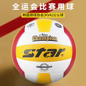 鑫铭鼎VB215-34 第十一届运动会 指定用球硬排 室内比赛球 5号球