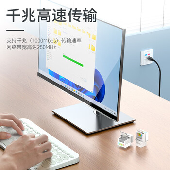 胜为（shengwei）六类网络模块 CAT6免打镀金网络面板模块 RJ45水晶头电脑网线插座连接头 CMK6003H
