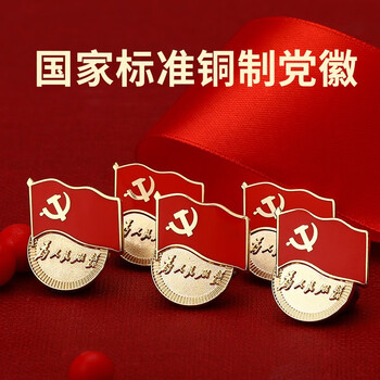 嘉然恒 铜制党徽5枚装别针款 国家标准款党员徽章胸章