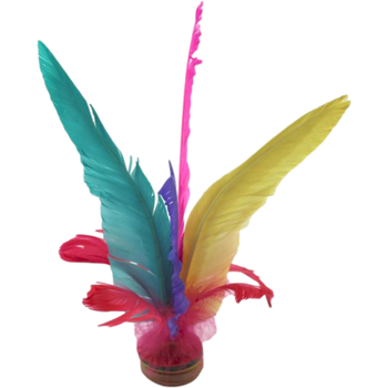 迪卡侬基础塑形/普拉提耐用小巧青少年天然鹅毛毽子 彩色 520669 均码