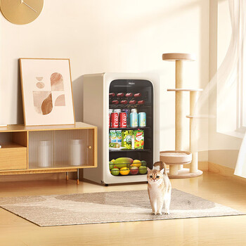 海尔（Haier）92升家用客厅办公室冷藏柜暖藏冰吧茶叶饮料水果蔬菜保鲜柜囤货小型冰箱