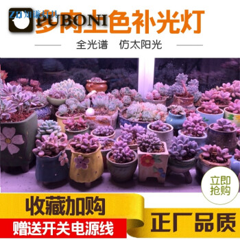 植物生长灯室内全光谱仿太阳光多肉补光灯花卉蔬菜育苗t8组培灯管12米