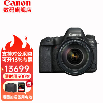 佳能（Canon） 6D2 全画幅单反相机 L级24-105标准镜头 EOS 6D Mark II 6d2+24-105F4 IS USM L级红圈头 套餐2：64G卡+相机包+备用电池等