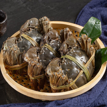 【活蟹】大闸蟹鲜活螃蟹新鲜海鲜水产生鲜礼盒 精品蟹