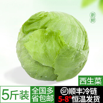 老农夫顺丰冷链球生菜新鲜蔬菜汉堡用圆生菜球型西生菜沙拉色拉食材5