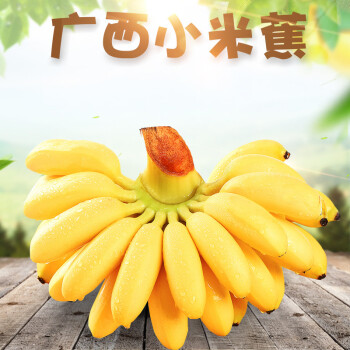 小米蕉新鲜香蕉皇帝香甜芭蕉黄皮水果5斤记得催熟哟