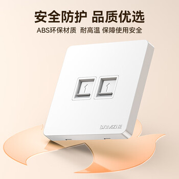 山泽网线网口网络面板 通用超五/六/七类模块加厚86型阻燃面板 适用电脑房间网络插座 二位 ZWB-02