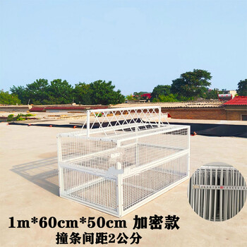 只进不出捕捉笼捕捉神器天落笼加密只进不出鸽子笼抓鸽神器捕鸽子赛