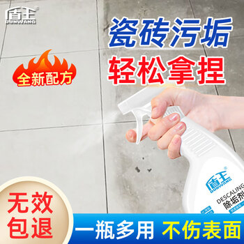 盾王瓷砖除垢剂500ml 地板清洁剂 多功能浴室卫浴清洗剂 厕所除垢剂