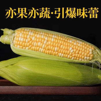 陕西秦岭南部黄金水果玉米生吃甜嫩爆浆多汁现摘先发新鲜玉米棒子绿色