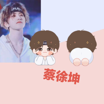 2021蔡徐坤新款亚克力黄明昊范丞丞林彦俊卡通手绘周边pp夹手账夹