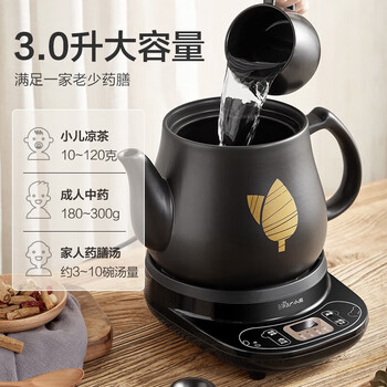小熊（Bear）中药锅煎药壶 全自动 电砂锅电药壶煎中药熬药煲汤 煲药煮药壶中药煲  JYH-C30A1-P01