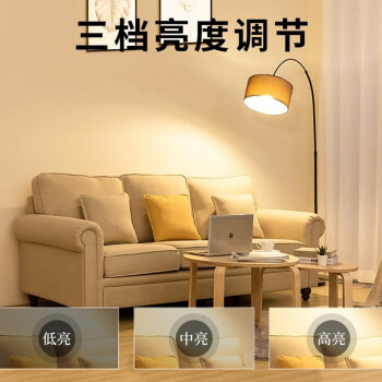 阳致中式落地灯立式沙发灯