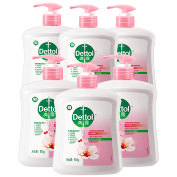 滴露（Dettol）洗手液滋润500g*6 抑菌洗手液家庭装大桶儿童消毒无酒精温和护手