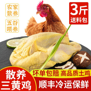  岽鲜 农家散养土鸡 三黄鸡 新鲜整只走地鸡柴鸡 鸡肉生鲜 1.5kg 发1只 3斤
