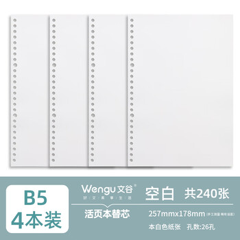 文谷（Wengu）b5活页替芯空白纸笔记本通用简约白色可拆卸替芯学生记事本专用内芯活页本替芯 NB560-5空白*4