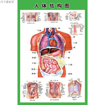 查看源网页