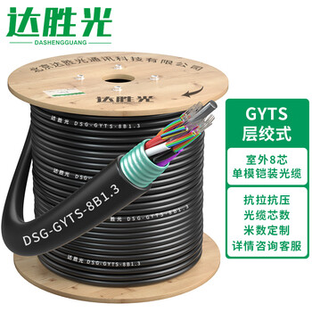 达胜光 GYTS室外光缆电信级国标光缆 8芯1米 层绞式单模铠装户外光纤线 DSG-GYTS-8B1.3