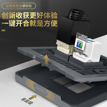 万级 网络面板八类 8类万兆免打网线插座 二位双口86型面板电脑电话网络墙壁插孔 1-148035灰 万级 网络面板八类 8类万兆免打网线插座 二位双口86型面板电脑电话网络墙壁插孔 1-148035灰