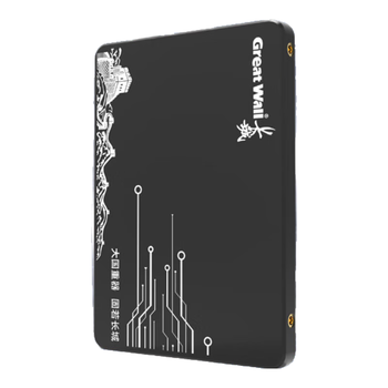 长城（Great Wall) 240GB SSD固态硬盘 SATA3.0接口 读速520MB/S台式机/笔记本通用 GW520系列
