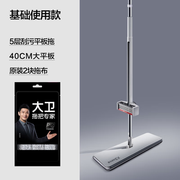 大卫 家用懒人一拖净加长免手洗拖地拖布两用1杆2头 P12-2平板拖把