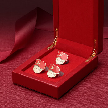 法拉蒙（faramon）新版标准型党徽别针式胸针中国新版吸铁石蝴蝶扣党员胸章磁铁磁扣胸徽礼盒装 3枚磁扣款