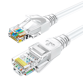 山泽 超五类网线 CAT5e类高速千兆网线 1米 工程/宽带电脑家用连接跳线 成品网线 贝吉色 ZW-01