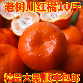 四川红橘大红袍橘子万州古红桔重庆桔子新鲜水果10斤陈皮柑橘川桔精选
