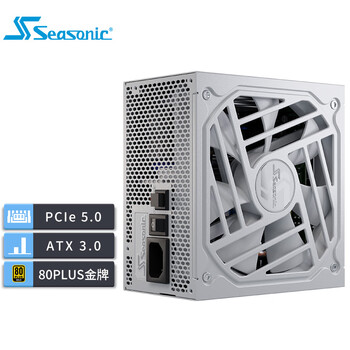 SEASONIC海韵 额定1000W FOCUS金牌全模电脑ATX3白色限定电源 全日系电容 白压纹线 原生12V-2×6 支持5090