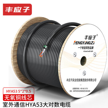 丰应子室外5对重铠大对数通信线缆 语音电话线0.5线径1米 FYZ-HYA53 5*2*0.5