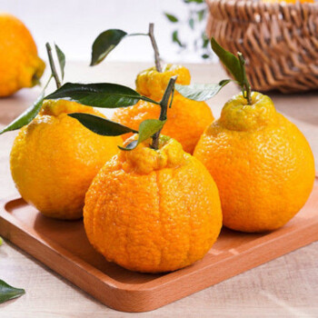 高山丑橘粑粑柑新鲜水果现摘橘子整箱10斤5斤10斤装特大果净重995斤