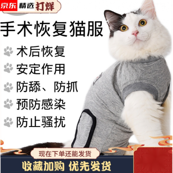 猫咪绝育服宠物术后恢复服断奶服猫薄款透气四脚衣防舔防咬手术服 浅