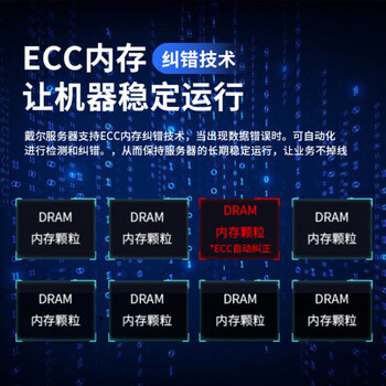 戴尔（DELL）R250机架式服务器主机 文件共享数据库托管R240升级款 E2378八核心32G丨2块2T