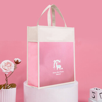 誉禾学生补习袋大容量书包手提袋拎书袋儿童可爱美术袋补课袋三层补习包帆布包 6173粉色