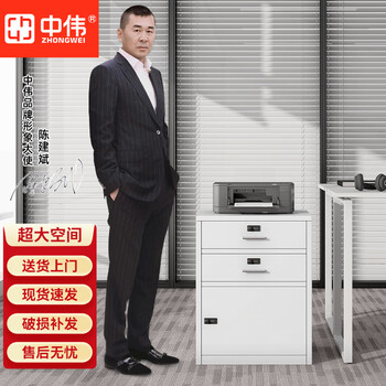中伟钢制矮柜办公柜活动柜资料档案柜桌下柜密码锁储物柜二斗白色加厚