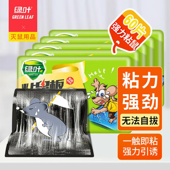 绿叶粘鼠板 薄板捕鼠工具粘老鼠贴灭鼠板老鼠粘板40片装GL02113